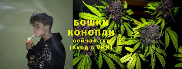 ECSTASY Армянск