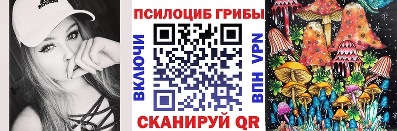 цены   Буинск  Псилоцибиновые грибы GOLDEN TEACHER 